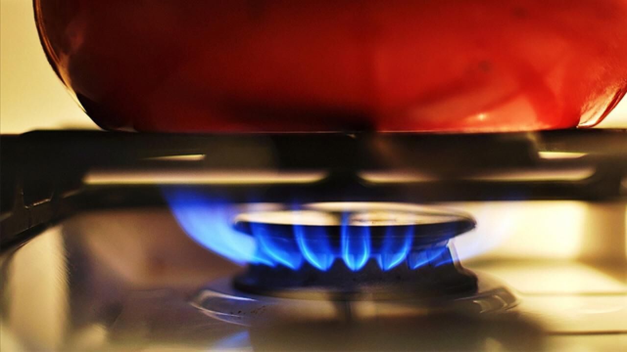 Türkiye’de doğal gaz şebekesi 255 bin kilometreye ulaştı