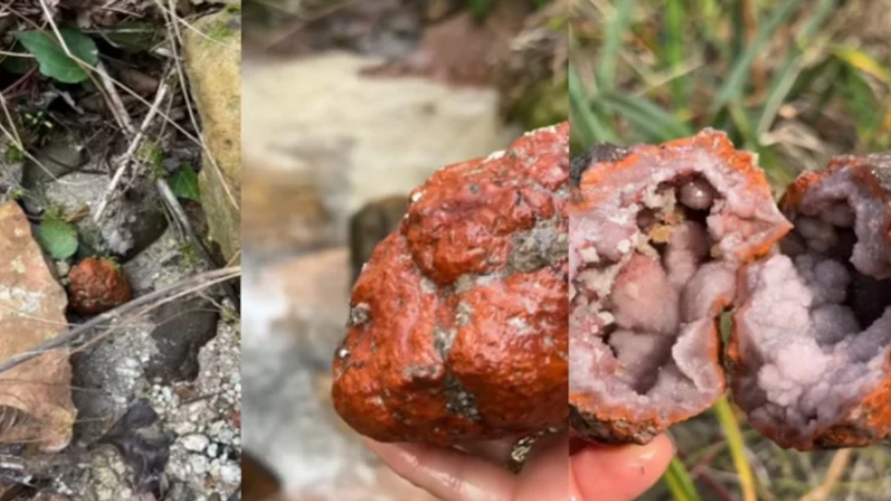 Üstünden geçip gidiyorlar oysa kırıldığında servet saçılıyor ortaya