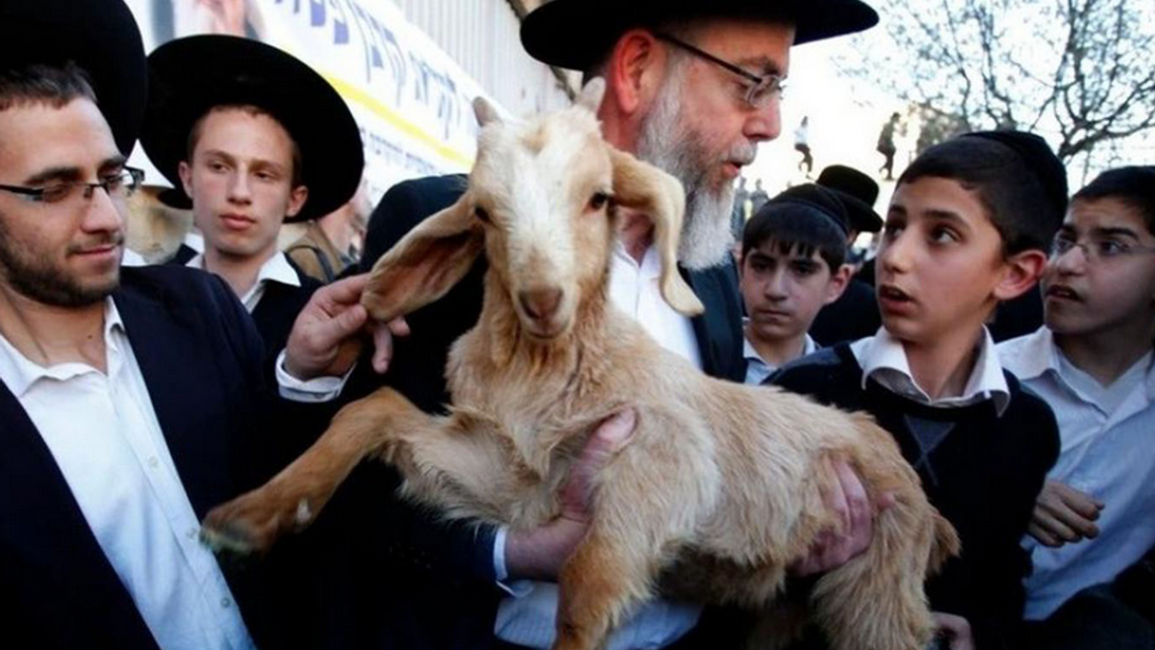 Mescid-i Aksa'da hayvan kurban edildi! Kudüs Valiliği'nden tepki