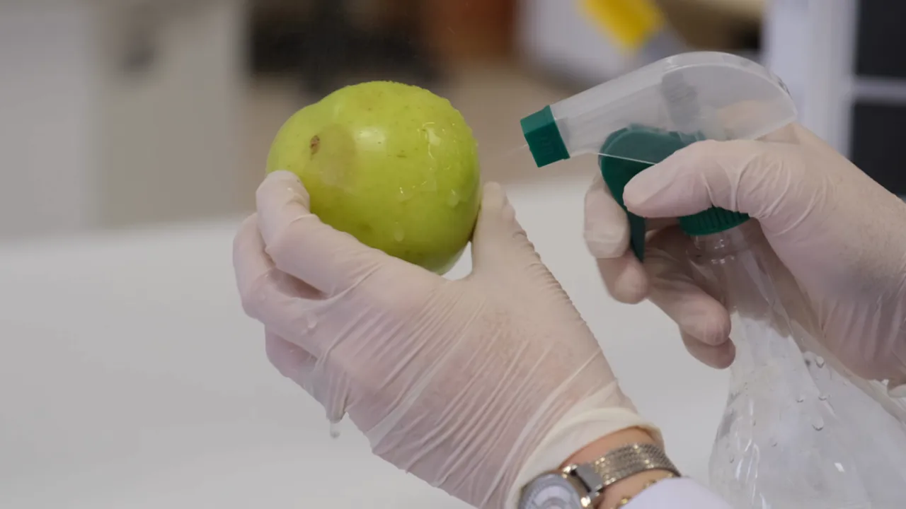 Meyve Muhafazasında "Doğal Yağ" Alternatifi!