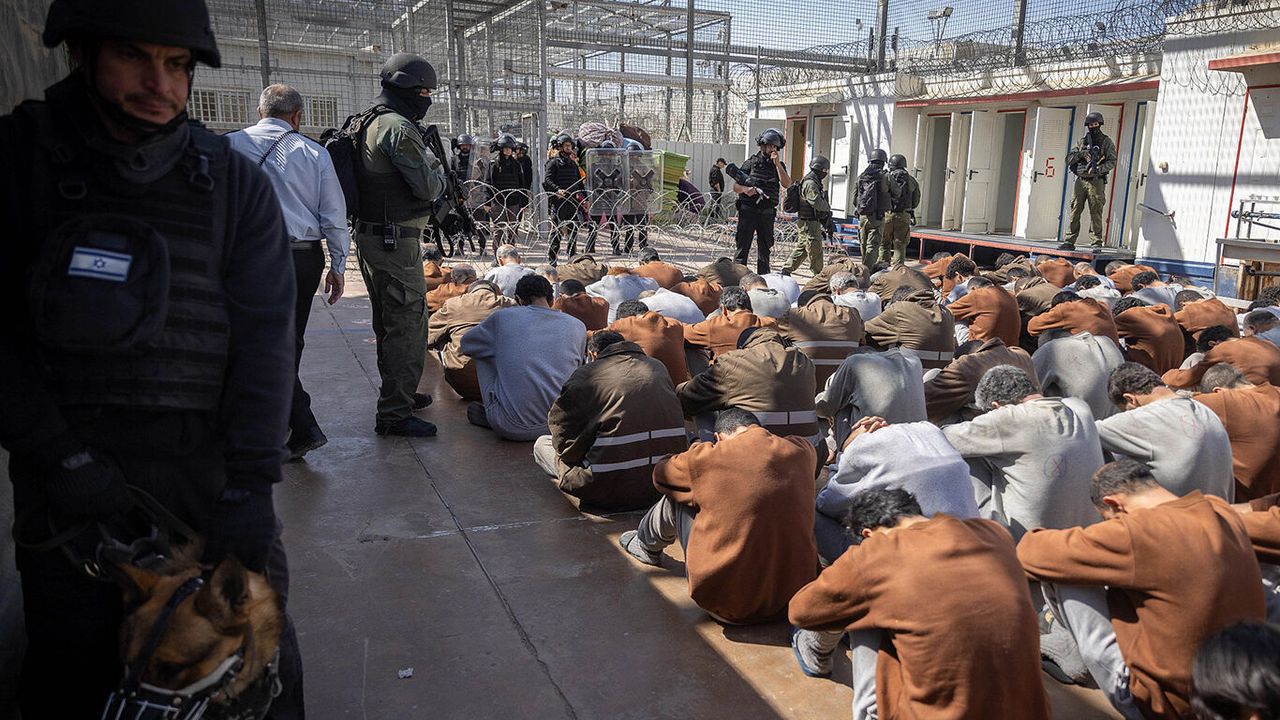 Esirlerin idam edilmesi kararına bir kınama da İrlanda'dan geldi