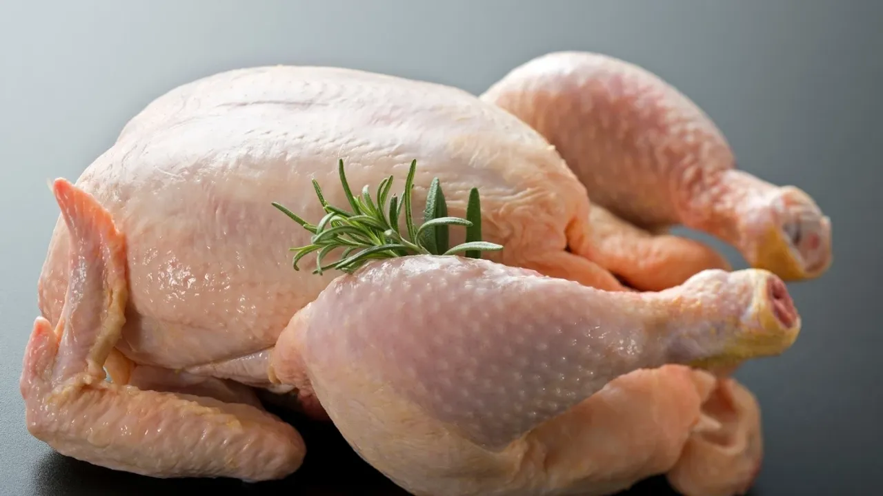 Tavuk eti üretimi arttı