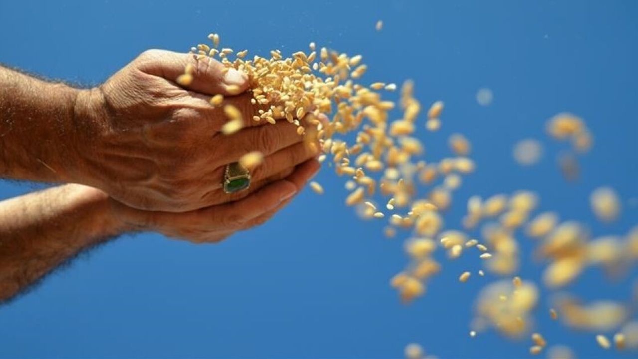 Küresel gıda alarmı