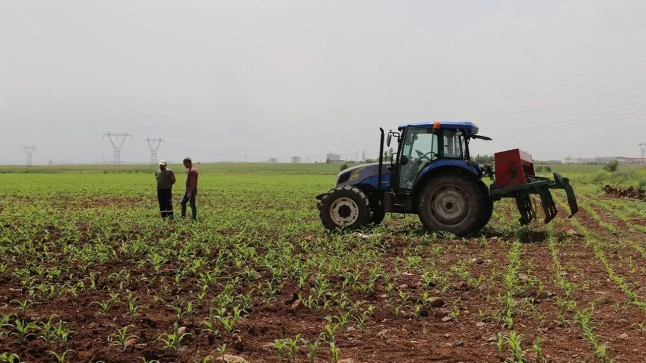 Çiftçilere 17,4 milyar liralık destek ödemesi