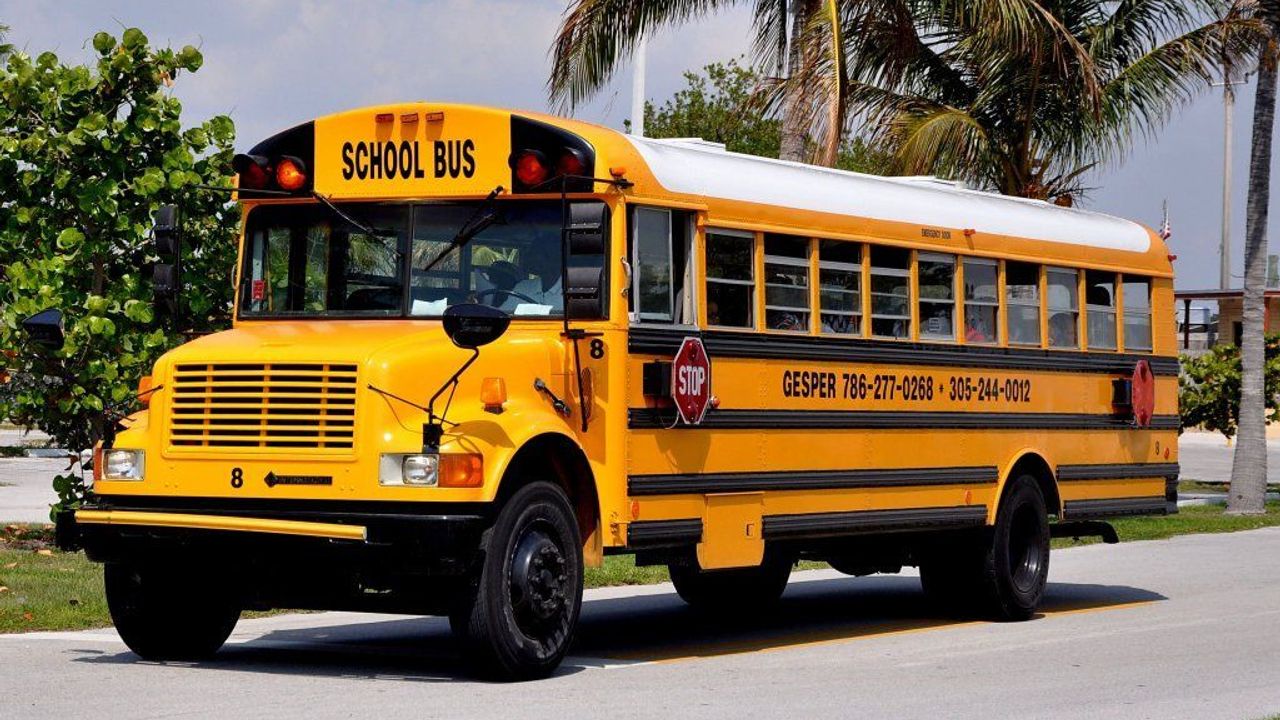 Okul servisi şoförü bayıldı, servisi çocuklar durdurdu