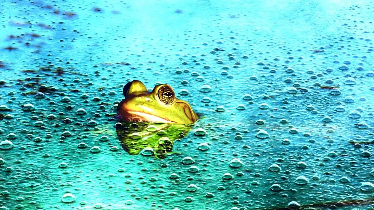 Uzmanlardan uyarı: Yapay zekâya güvenmek "Haşlanan kurbağa" etkisiyle zihinsel becerileri köreltiyor