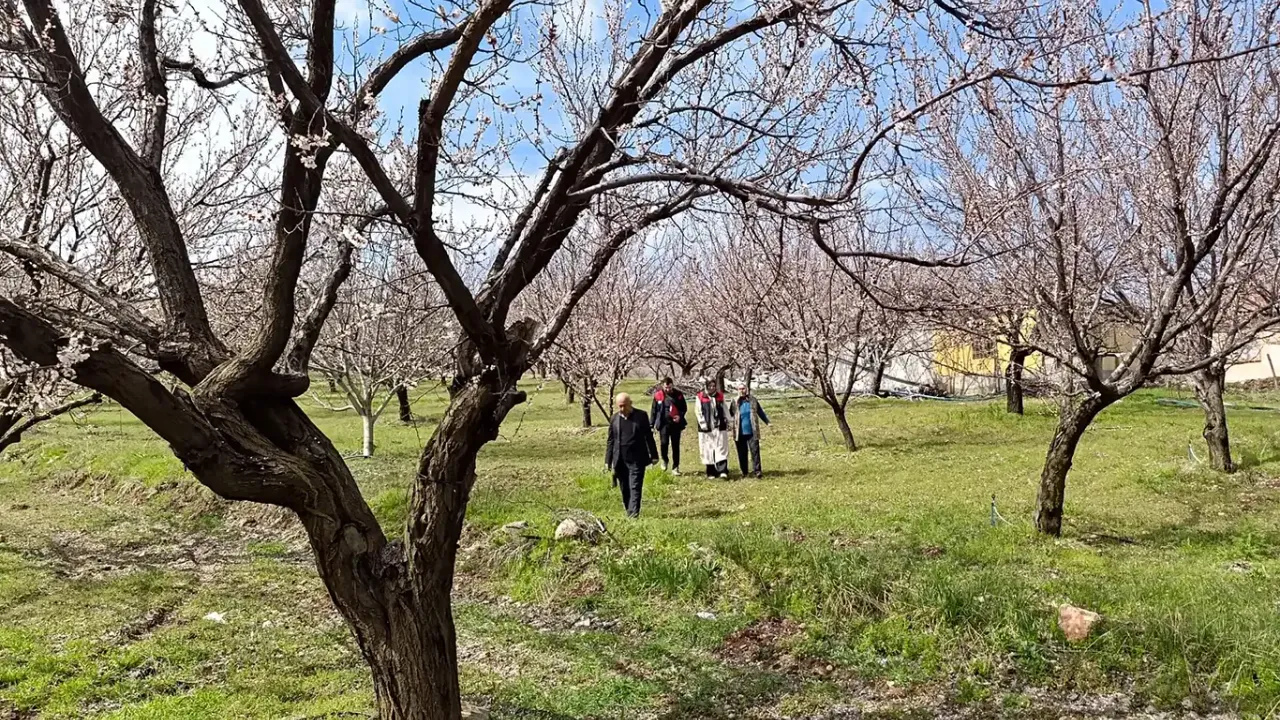 Malatya'da 20 bin dekardan fazla alanda hasar tespit edildi!