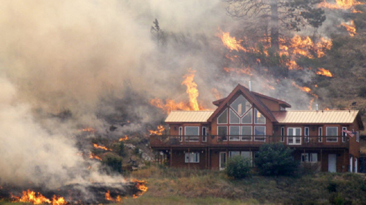 ABD’de orman yangınları: 120’den fazla ev kül oldu