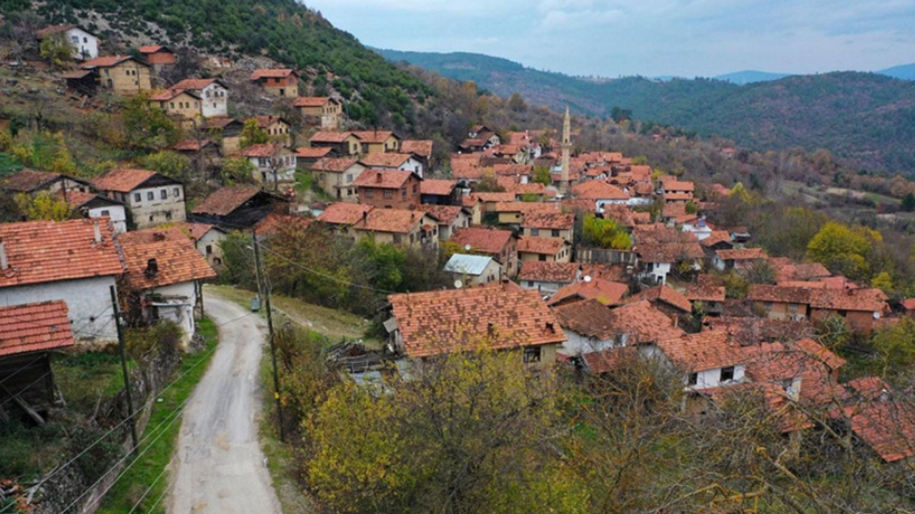 Türkiye'nin en tenha köyleri belli oldu! Nüfusu bakın kaç kişiden oluşuyor?