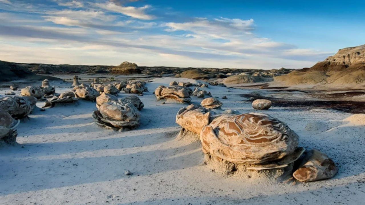 Verimsiz arazide sıra dışı görünüm: Gören herkes şaşkınlık yaşıyor