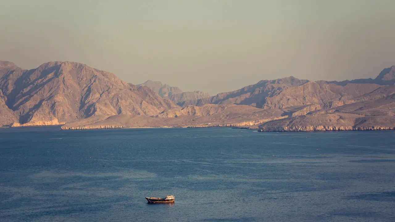 Hürmüz'den kaç gemi geçecek?