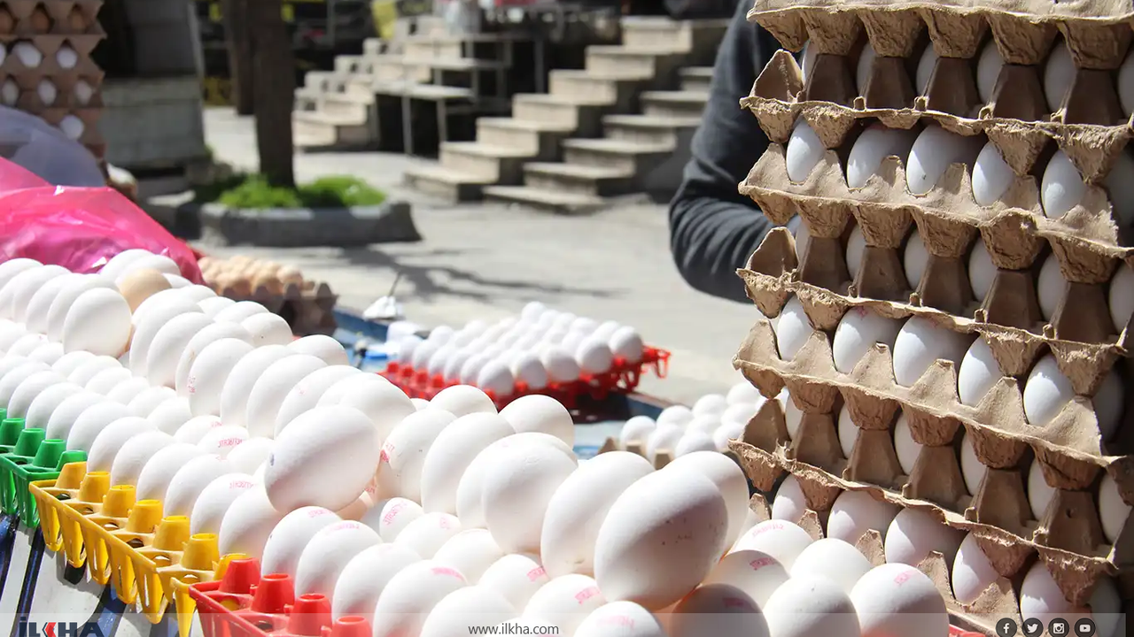 Diyarbakır'da yumurta fiyatları düştü