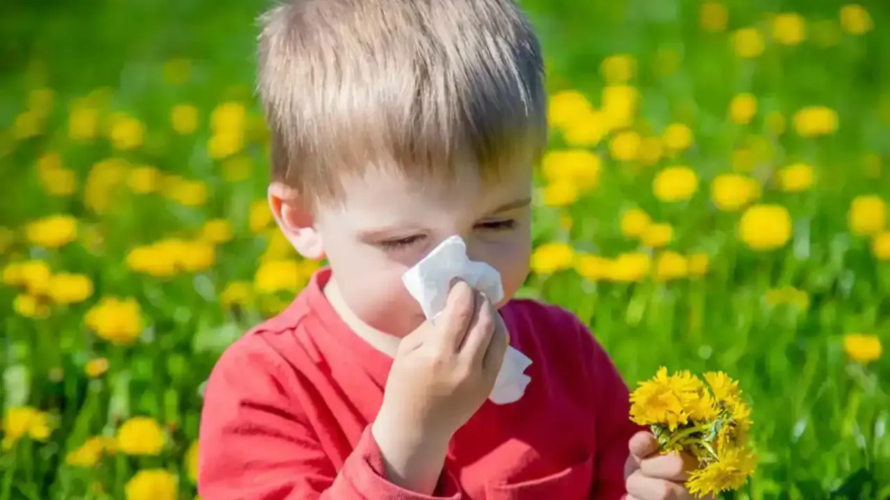 İklim değişikliği ve hava kirliliği alerjileri tetikliyor!