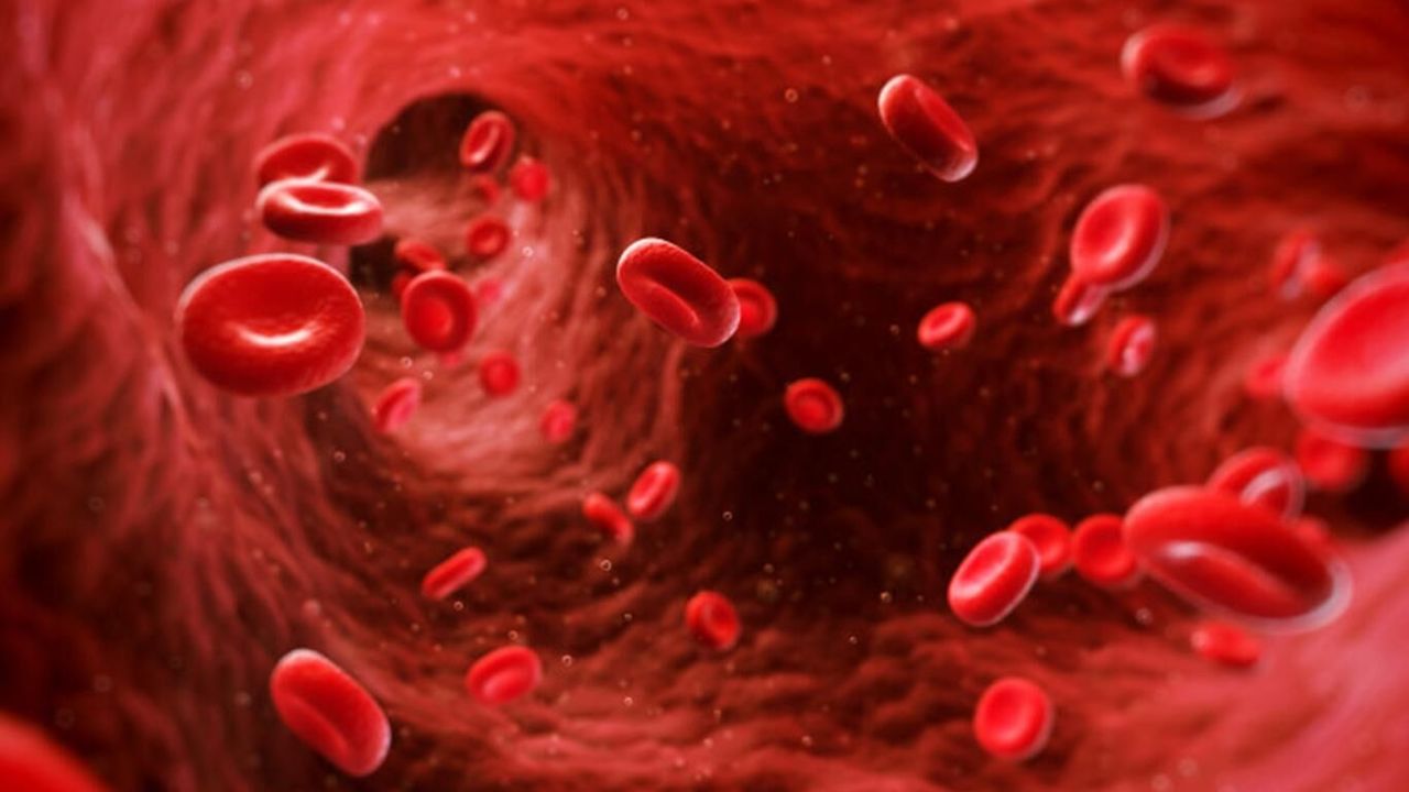 Hemofili hastaları için sağlık desteğinde yeni dönem