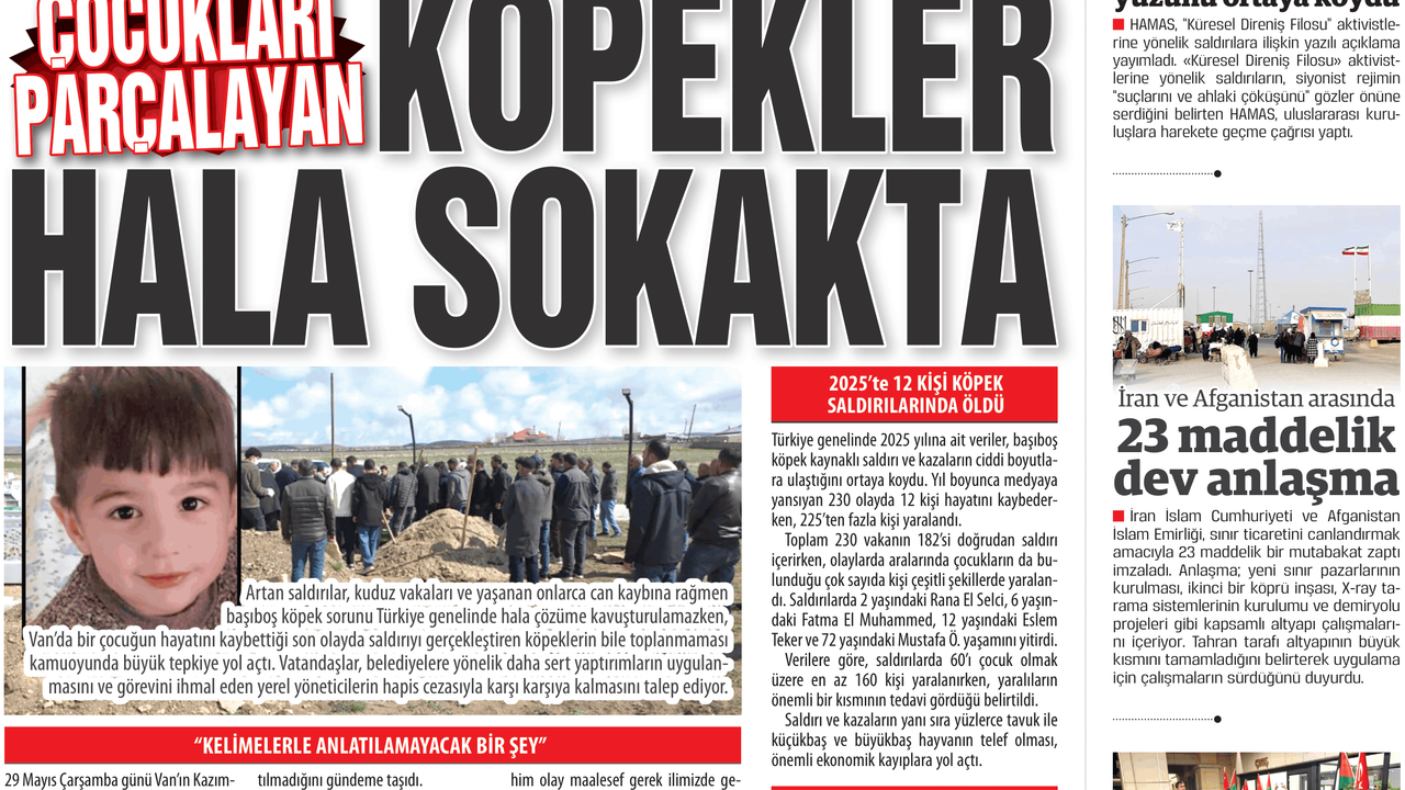 ÇOCUKLARI PARÇALAYAN KÖPEKLER HALA SOKAKTA