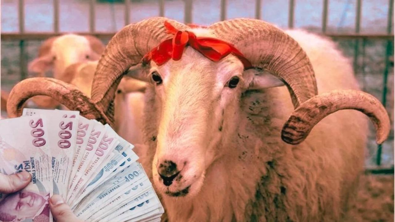 Kurban Bayramı tatili öncesi yüzde 25 zam yapıldı!