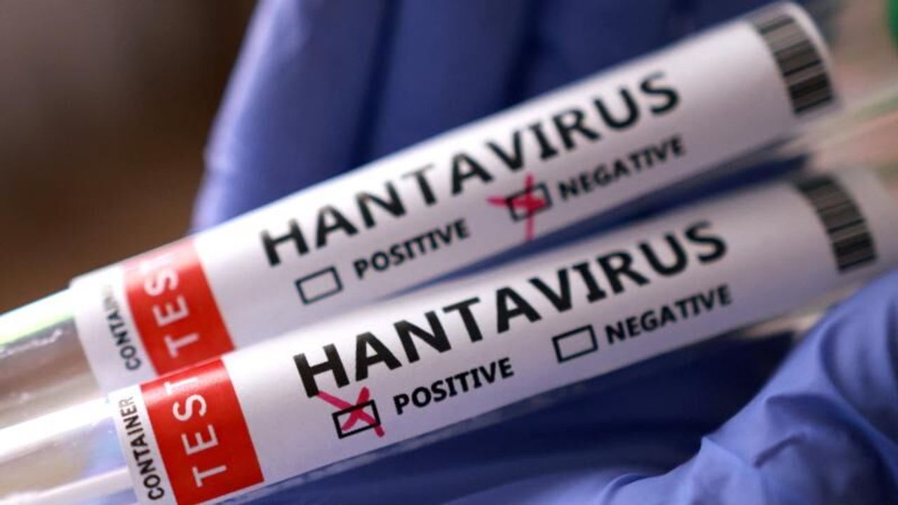 İngiltere duyurdu: Bir vatandaşta daha hantavirüs şüphesi tespit edildi!