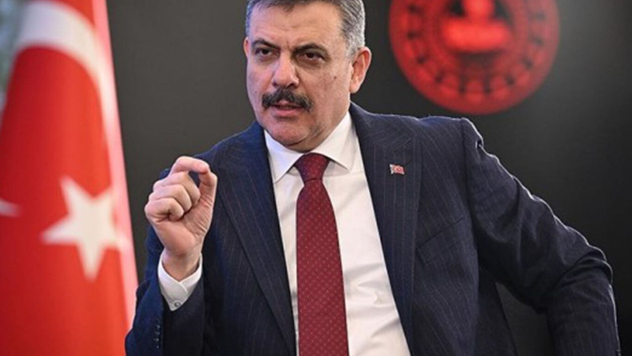 Bakan Çiftçi'den sahipsiz hayvanlara ilişkin açıklama: Ekim ayına kadar toplanacak