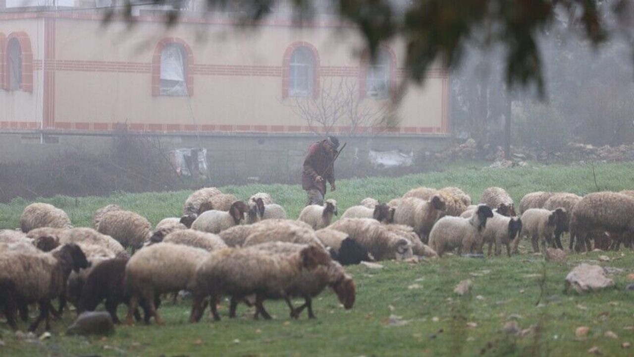 İşgal ordusu Suriye'nin Kuneytra kırsalına baskın düzenledi!