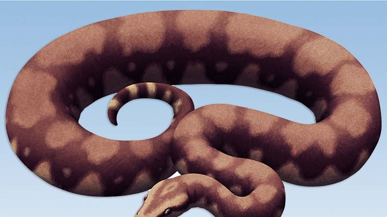 15 Metrelik Dev Yılan Ortaya Çıktı! Vasuki indicus Gündem Oldu