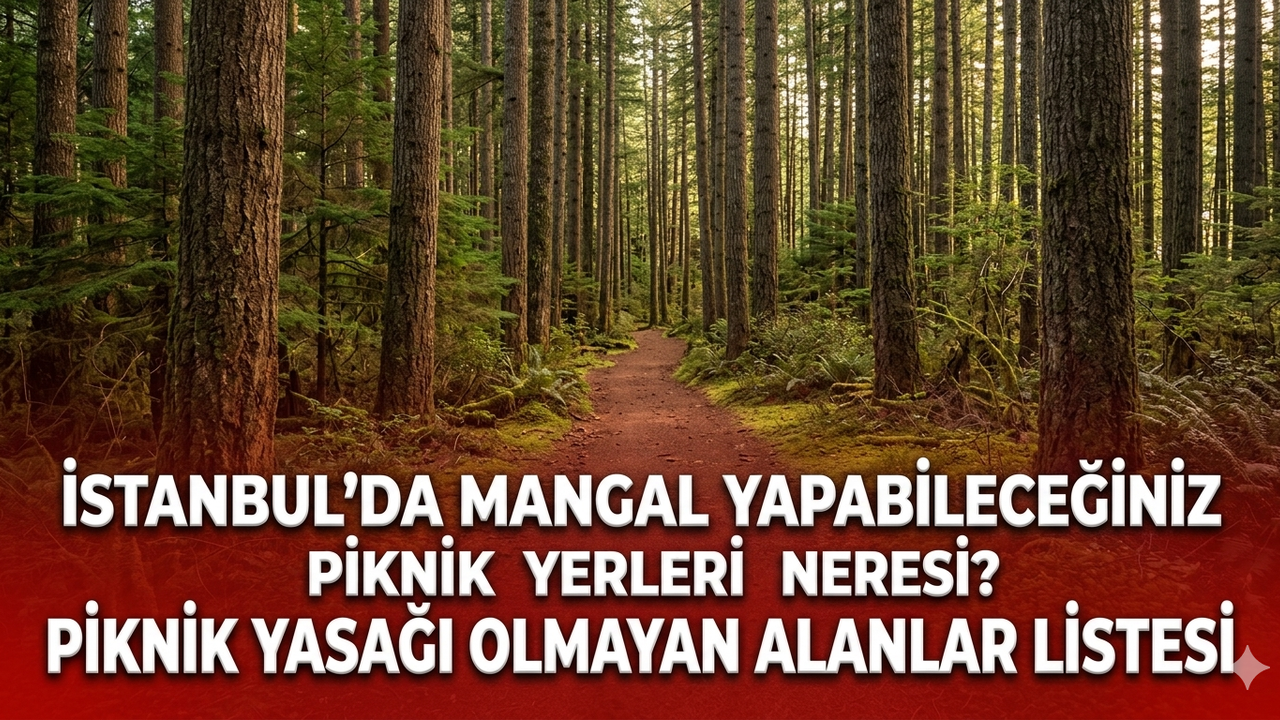 İstanbul'da mangal yapabileceğiniz piknik yerleri neresi? Piknik yasağı olmayan alanlar listesi