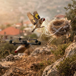 Kuşlar yuvalarını FPV İHA kablolarıyla yaptı