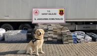 Bir TIR'da milyonlarca lira değerinde 30 bin paket kaçak sigara ele geçirildi