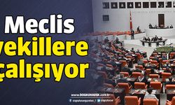 Meclis vekillere çalışıyor.