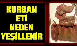 Kurban eti neden yeşillenir?