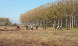 Arazi kavgasında baba ve oğlu öldürüldü