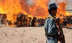 Afganistan İslam emirliğinin uyuşturucuyla mücadele hamlesi