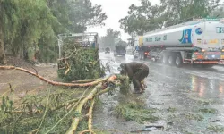 Pakistan'da şiddetli yağışlarda can kaybı artıyor!