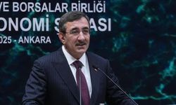 Cevdet Yılmaz'dan enflasyon açıklaması!