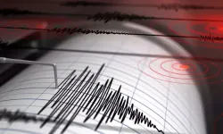 Muş’ta Deprem Riski Yüksek İlçeler Açıklandı: 2 İlçede Alarm Zilleri Çalıyor!