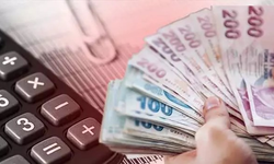 Sosyal Ekonomik Destek ödemeleri hesaplara yatırıldı