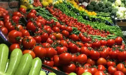 Tarım, gıda ve içecek sektöründen 7,1 milyar dolar ihracat