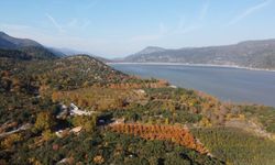 Isparta'da ormanlık alanlara girişler yasaklandı!