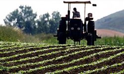 Çiftçilere destek ödemesi: Hesaplara aktarılıyor!