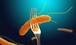 Sakın tüketmeyin! Türkiye'den giden ürün salmonella alarmı verdi!