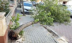 Meteorolojiden kuvvetli rüzgâr uyarısı!