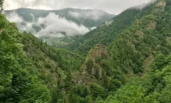 Muğla'da ormanlara giriş yasağı getirildi!