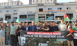 Şırnak’tan Gazze’deki soykırıma tepki direnişe destek çağrısı!