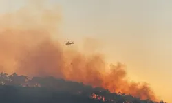 Hatay’da orman yangını!