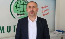Vatandaşlarımız Mısır'da darp edilirken Büyükelçimiz bakın ne yapmış: Gidin yoksa kötü olur