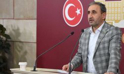 Milletvekili Demir'den Mısır'daki gözaltılara tepki!