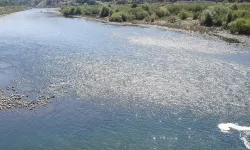 Elazığ'da nehre giren adam kayboldu