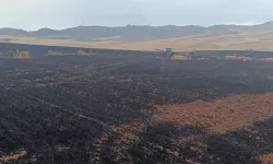 Buğday tarlasında yangın