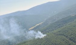 Denizli'nin Çivril ilçesinde çıkan orman yangını kontrol altına alındı