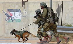 israilin katil köpek sponsoru ortaya çıktı