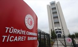 İki şirkete "dış ticaret sermaye şirketi" statüsü